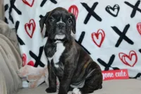 processed/f773a453-78cb-4583-a013-593187e16071/listing/df34cddf-1822-4825-a2f0-6f4e01b05351/4f0deb66-e1c4-4051-b339-1523f5525574