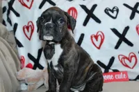 processed/f773a453-78cb-4583-a013-593187e16071/listing/df34cddf-1822-4825-a2f0-6f4e01b05351/5001a4b7-b74b-4d44-8e1e-f5bca28c5dc9