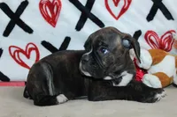 processed/f773a453-78cb-4583-a013-593187e16071/listing/df34cddf-1822-4825-a2f0-6f4e01b05351/5cc1d8f1-1087-405f-a772-731127fdeff9