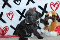 processed/f773a453-78cb-4583-a013-593187e16071/listing/df34cddf-1822-4825-a2f0-6f4e01b05351/bc521e81-f490-4a48-8bd0-75a93ed03152