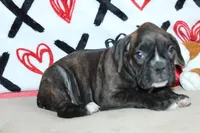 processed/f773a453-78cb-4583-a013-593187e16071/listing/df34cddf-1822-4825-a2f0-6f4e01b05351/ccb09f21-90a5-4872-afd4-b29de5c01b6d