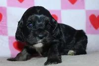 processed/f773a453-78cb-4583-a013-593187e16071/listing/f6590f2e-33b5-4fb2-9316-1342cdf0d575/490c65c9-08f7-4949-9b93-2320a91b4903