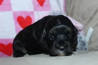 processed/f773a453-78cb-4583-a013-593187e16071/listing/f6590f2e-33b5-4fb2-9316-1342cdf0d575/5283e2f0-b96a-4c8e-91e5-450da62bf152