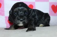 processed/f773a453-78cb-4583-a013-593187e16071/listing/f6590f2e-33b5-4fb2-9316-1342cdf0d575/9601483d-1fbc-4445-804e-a2b854e794d4