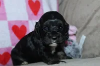 processed/f773a453-78cb-4583-a013-593187e16071/listing/f6590f2e-33b5-4fb2-9316-1342cdf0d575/a4d57194-6c63-44d8-b64b-8bb4a2c48943