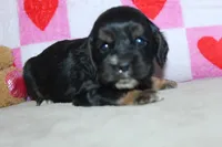 processed/f773a453-78cb-4583-a013-593187e16071/listing/fa1ba7ae-97bc-4810-873a-af9cc47dc628/0562715b-3275-400b-8e69-af89c76d1f0c