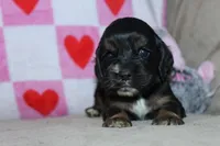 processed/f773a453-78cb-4583-a013-593187e16071/listing/fa1ba7ae-97bc-4810-873a-af9cc47dc628/5bcc96f4-5297-4be6-90a0-2998f0c82c85