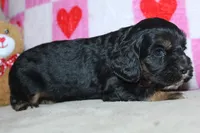 processed/f773a453-78cb-4583-a013-593187e16071/listing/fa1ba7ae-97bc-4810-873a-af9cc47dc628/a21d525e-d4d2-4c3d-8767-f934c50d7143