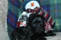 processed/f773a453-78cb-4583-a013-593187e16071/listing/fcef606a-aed7-409d-bb11-774e783ccdd4/0a895910-f28a-48df-bfd7-854a31d8020c