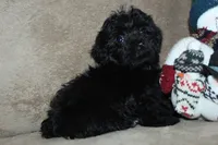 processed/f773a453-78cb-4583-a013-593187e16071/listing/fcef606a-aed7-409d-bb11-774e783ccdd4/17c746ad-638a-4ad6-9baf-7fec9b225ea2