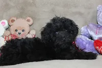 processed/f773a453-78cb-4583-a013-593187e16071/listing/fcef606a-aed7-409d-bb11-774e783ccdd4/2213434b-210e-4e46-9a46-9a527fc6ba04