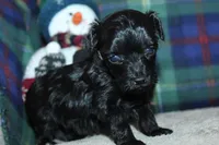 processed/f773a453-78cb-4583-a013-593187e16071/listing/fcef606a-aed7-409d-bb11-774e783ccdd4/425d213f-2bb3-4036-8c1a-fc077aeafb9a