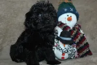 processed/f773a453-78cb-4583-a013-593187e16071/listing/fcef606a-aed7-409d-bb11-774e783ccdd4/a0de34f4-c168-40fb-b1be-fe954e1eead1