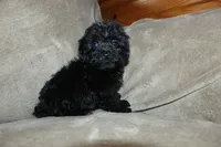 processed/f773a453-78cb-4583-a013-593187e16071/listing/fcef606a-aed7-409d-bb11-774e783ccdd4/a37e2e94-d304-4117-b898-bfb639974a73