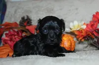 processed/f773a453-78cb-4583-a013-593187e16071/listing/fcef606a-aed7-409d-bb11-774e783ccdd4/ade971d7-4ecc-4df3-b531-b61947ded07f