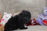 processed/f773a453-78cb-4583-a013-593187e16071/listing/fcef606a-aed7-409d-bb11-774e783ccdd4/ae576beb-0cb2-4b99-af39-97f005471a45