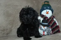 processed/f773a453-78cb-4583-a013-593187e16071/listing/fcef606a-aed7-409d-bb11-774e783ccdd4/e68deecc-4b47-409c-9b49-3163059c478e