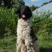 processed/f7806251-628b-4a2b-89ce-d357ed42c99f/facility/010f752e-0842-4c6a-897f-6dc15c1e3492