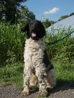 processed/f7806251-628b-4a2b-89ce-d357ed42c99f/facility/010f752e-0842-4c6a-897f-6dc15c1e3492