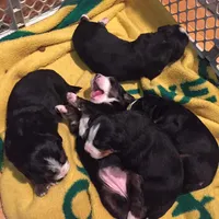 processed/f7806251-628b-4a2b-89ce-d357ed42c99f/facility/3f89db71-e03c-4493-915a-1068d5a654da