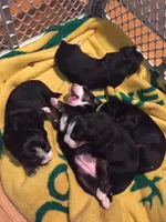 processed/f7806251-628b-4a2b-89ce-d357ed42c99f/facility/3f89db71-e03c-4493-915a-1068d5a654da