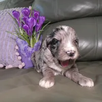 processed/f7806251-628b-4a2b-89ce-d357ed42c99f/facility/46365467-a096-4321-9ae2-5544f050f9b9