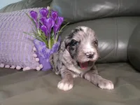 processed/f7806251-628b-4a2b-89ce-d357ed42c99f/facility/46365467-a096-4321-9ae2-5544f050f9b9