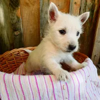 processed/f7806251-628b-4a2b-89ce-d357ed42c99f/facility/6fe1d464-61c0-44b5-9e4a-461ab221a221