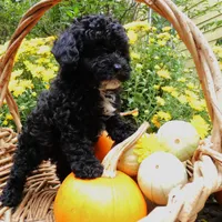 processed/f7806251-628b-4a2b-89ce-d357ed42c99f/facility/717fe8dc-08cc-4537-945d-6a49ee9a8c8b