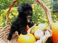 processed/f7806251-628b-4a2b-89ce-d357ed42c99f/facility/717fe8dc-08cc-4537-945d-6a49ee9a8c8b