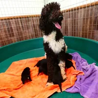 processed/f7806251-628b-4a2b-89ce-d357ed42c99f/facility/e66f2d75-d30c-40ae-9cca-d40ee21a0d39