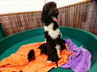 processed/f7806251-628b-4a2b-89ce-d357ed42c99f/facility/e66f2d75-d30c-40ae-9cca-d40ee21a0d39