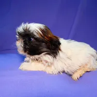 processed/f7806251-628b-4a2b-89ce-d357ed42c99f/facility/e7fb8c78-9d0a-401d-84db-448355b26615