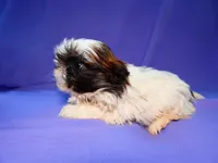 processed/f7806251-628b-4a2b-89ce-d357ed42c99f/facility/e7fb8c78-9d0a-401d-84db-448355b26615