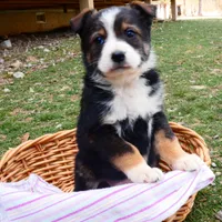 processed/f7806251-628b-4a2b-89ce-d357ed42c99f/facility/fb595fb0-2765-479b-9206-3158c2eb5ef4