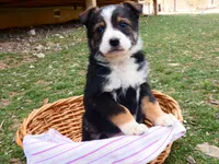 processed/f7806251-628b-4a2b-89ce-d357ed42c99f/facility/fb595fb0-2765-479b-9206-3158c2eb5ef4