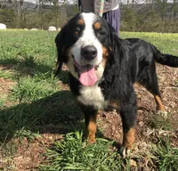 processed/f7806251-628b-4a2b-89ce-d357ed42c99f/listing/09643fe3-ea70-4d6a-921e-b8202081c385/08e95bdb-1e23-4b8b-b945-898d7acd56df