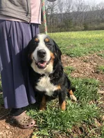 processed/f7806251-628b-4a2b-89ce-d357ed42c99f/listing/09643fe3-ea70-4d6a-921e-b8202081c385/3a50ebc6-9a32-4ec0-bcf7-f5f0555216a9