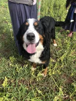 processed/f7806251-628b-4a2b-89ce-d357ed42c99f/listing/09643fe3-ea70-4d6a-921e-b8202081c385/6d1e169d-4044-4d70-a85e-52c5c5af4726