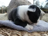 processed/f7806251-628b-4a2b-89ce-d357ed42c99f/listing/0a06ac7d-54bd-4ebc-b9cb-17733886772b/0f5dcc4c-0ae5-4b9d-ad9b-d1dd4a7057c6