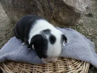 processed/f7806251-628b-4a2b-89ce-d357ed42c99f/listing/0a06ac7d-54bd-4ebc-b9cb-17733886772b/1bf5d019-f410-4446-9883-124054362140