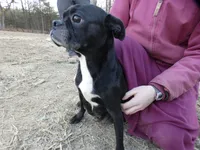 processed/f7806251-628b-4a2b-89ce-d357ed42c99f/listing/0a06ac7d-54bd-4ebc-b9cb-17733886772b/45506759-3f7d-4b8e-ab84-569be4da275f