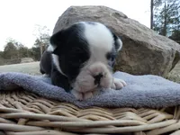 processed/f7806251-628b-4a2b-89ce-d357ed42c99f/listing/0a06ac7d-54bd-4ebc-b9cb-17733886772b/98e7e289-8a4e-4540-85a2-de1f697944ed