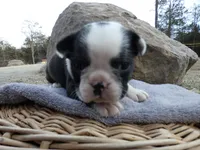 processed/f7806251-628b-4a2b-89ce-d357ed42c99f/listing/0a06ac7d-54bd-4ebc-b9cb-17733886772b/999efbd8-86a9-41d5-8786-c9bc92dff765