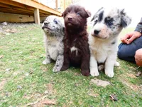 processed/f7806251-628b-4a2b-89ce-d357ed42c99f/listing/34793fd6-4241-4d1b-8caf-73605a490996/12fe4cac-de7a-41df-894e-c849f670cf1c