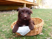 processed/f7806251-628b-4a2b-89ce-d357ed42c99f/listing/34793fd6-4241-4d1b-8caf-73605a490996/2aa3e951-2561-4328-80b9-ad8e8790d4b0