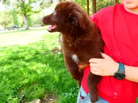 processed/f7806251-628b-4a2b-89ce-d357ed42c99f/listing/34793fd6-4241-4d1b-8caf-73605a490996/36bc64c1-84fb-47e4-957c-31476b2ad22d