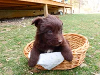 processed/f7806251-628b-4a2b-89ce-d357ed42c99f/listing/34793fd6-4241-4d1b-8caf-73605a490996/4d8f0949-9c5b-43c2-aa78-45c92af8517d