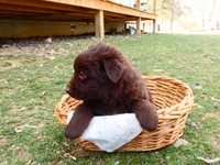 processed/f7806251-628b-4a2b-89ce-d357ed42c99f/listing/34793fd6-4241-4d1b-8caf-73605a490996/5f1e54b3-4a18-4b4a-a477-57b6993d06a9