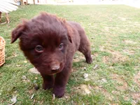 processed/f7806251-628b-4a2b-89ce-d357ed42c99f/listing/34793fd6-4241-4d1b-8caf-73605a490996/66b31c0f-04e0-48a9-83d7-3277938f106c